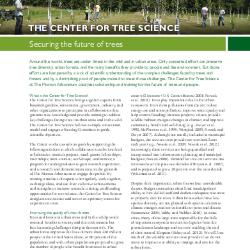 Center for Tree Science Strategy 