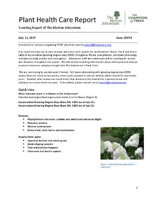 Plant Health Care Report: Issue 2019.8