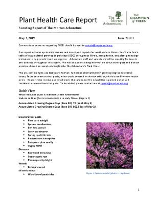 Plant Health Care Report: Issue 2019.3