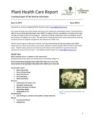 Plant Health Care Report: Issue 2019.6