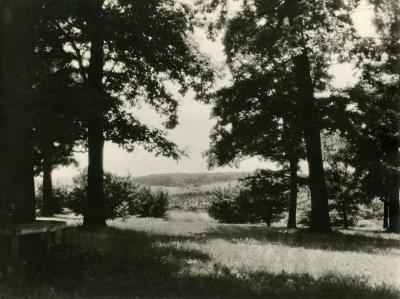 View from big oak area east of Lakeview Drive looking over Lake Marmo &amp; Spruce Hill to Tate Woods in distance