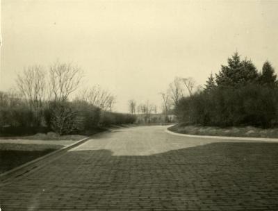 Morton Residence at Thornhill, main drive looking west