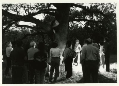 Twilight Tree Walk, Craig Johnson dressed as Joy Morton in a white oak