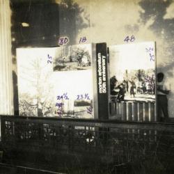  The Morton Arboretum 50th anniversary standalone or traveling exhibit, facing photograph panel