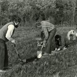 Volunteers at work in the prairie, laying stones for path