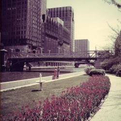 Chicago River Garden, between Randolph and Washington St., view from walkway to river