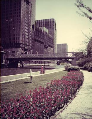 Chicago River Garden, between Randolph and Washington St., view from walkway to river