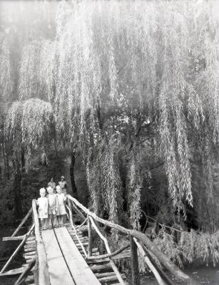 Three boys on Lake Jopamaca Footbridge