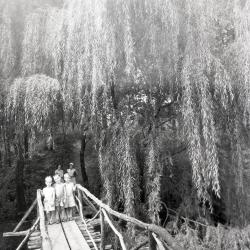 Three boys on Lake Jopamaca Footbridge