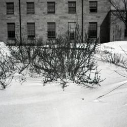 Snow covered landscape in front of Arboretum Center