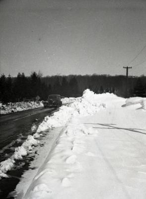 Car driving along Arboretum road in winter