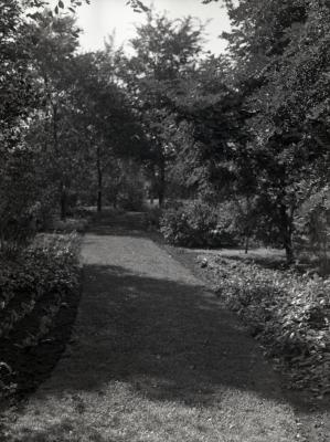 View along path in Ground Cover Collection