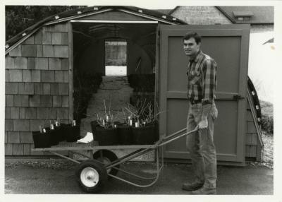 Peter Linsner moving plants with wheelbarrow 