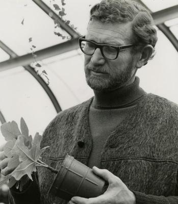 Charles Lewis in greenhouse