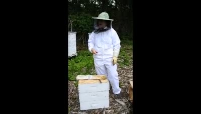Meet Our Beekeeper