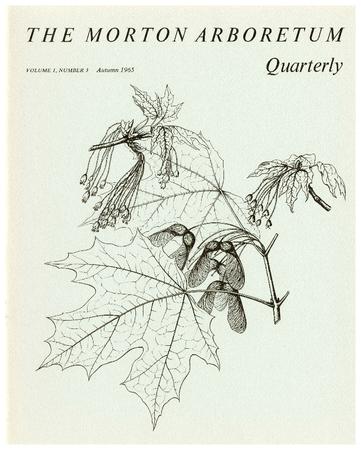 The Morton Arboretum Quarterly V. 01 No. 03
