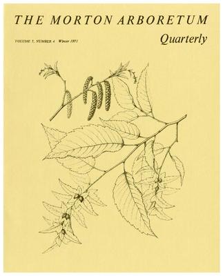 The Morton Arboretum Quarterly V. 07 No. 04
