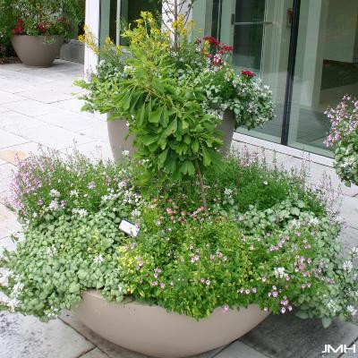 Plant Container 035