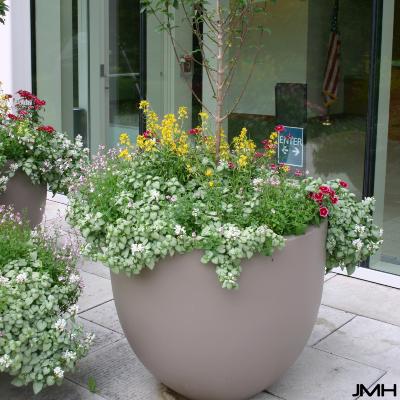 Plant Container 036