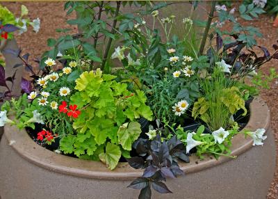 Plant Container 070