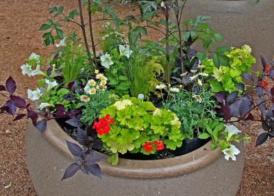 Plant Container 068