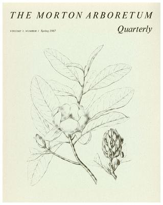 The Morton Arboretum Quarterly V. 03 No. 01