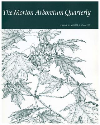 The Morton Arboretum Quarterly V. 31 No. 04