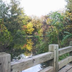 View from bridge over Willoway Brook at Lake Marmo