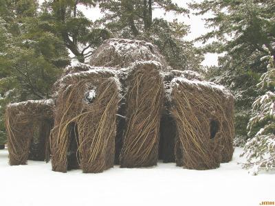 Patrick Dougherty Sculpture "Xanadu," winter
