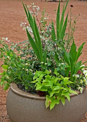 Plant Container 081