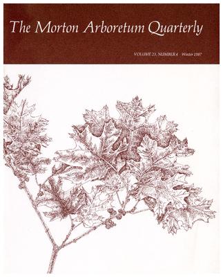The Morton Arboretum Quarterly V. 23 No. 04
