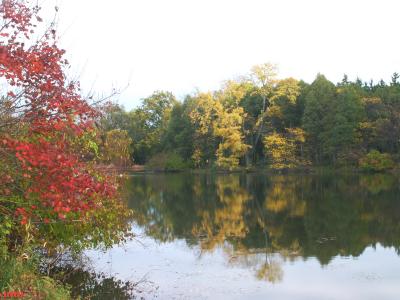 Lake Marmo from west shore, fall color