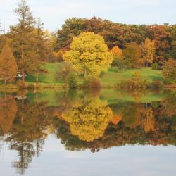 View from south shore of Lake Marmo, fall color