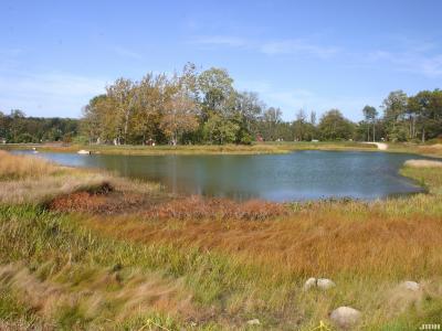 View from south shore of Meadow Lake