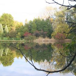 View from south shore of Lake Marmo, fall color