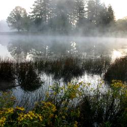 Meadow Lake at dawn