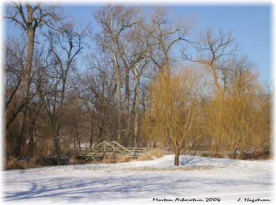 Willows and bridge over DuPage River, winter