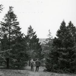 O.C. Simonds &amp; Joy Morton at Arnold Arboretum
