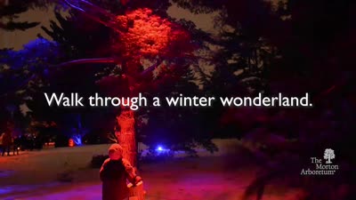 Illumination at The Morton Arboretum, Promotional Video