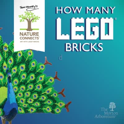 Nature Connects, How Many Lego Bricks, square