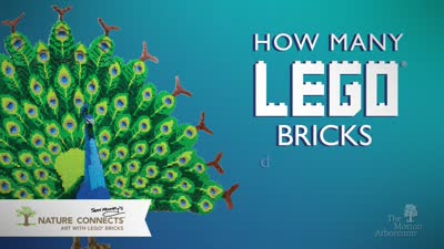 Nature Connects, How Many Lego Bricks 