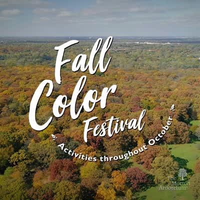 Fall Color Festival, trailer