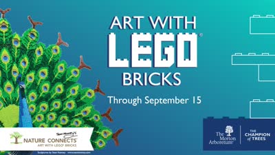 Nature Connects, Art with Lego Bricks animation