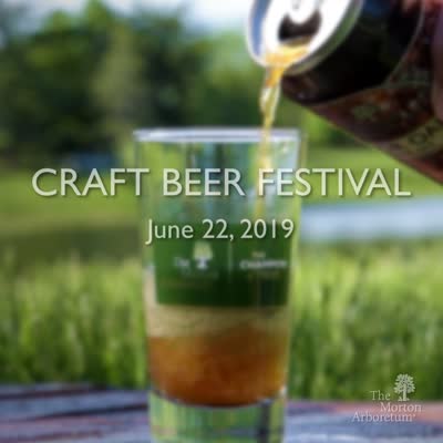 Craft Beer Festival, promo video