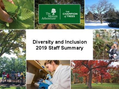 Diversity and Inclusion 2019 Staff Summary