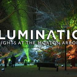 Illumination, thumbnail 