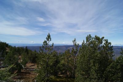 Wenatchee National Forest