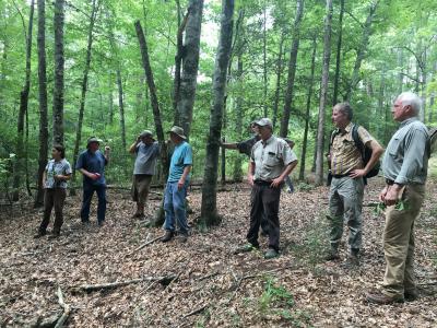 Plant collecting group in East Texas
