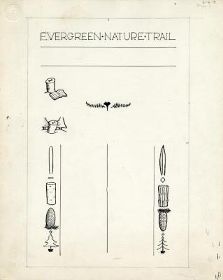 Evergreen Nature Trail Guide, page 3 illustrations and layout