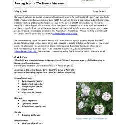 Plant Health Care Report: Issue 2020.3